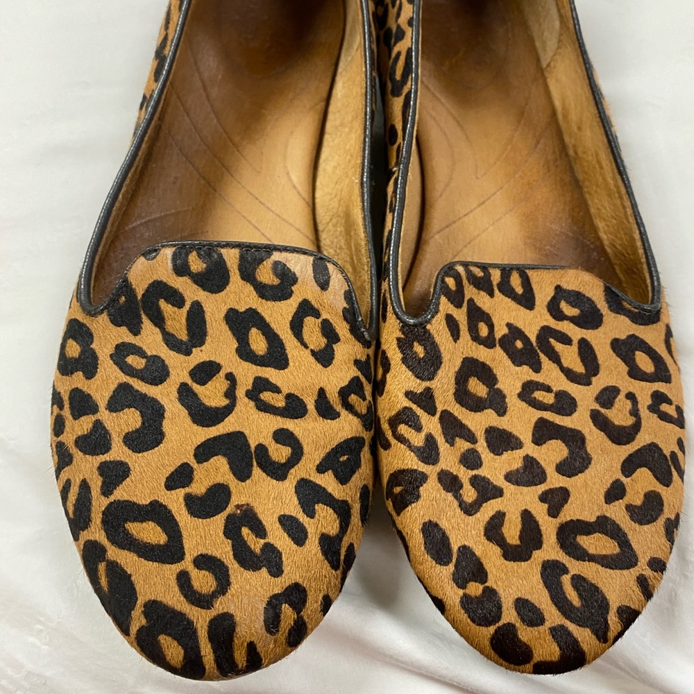 Clarks leopard